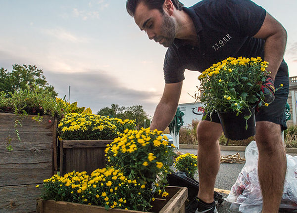 Man arranging yellow flowers at a nursery