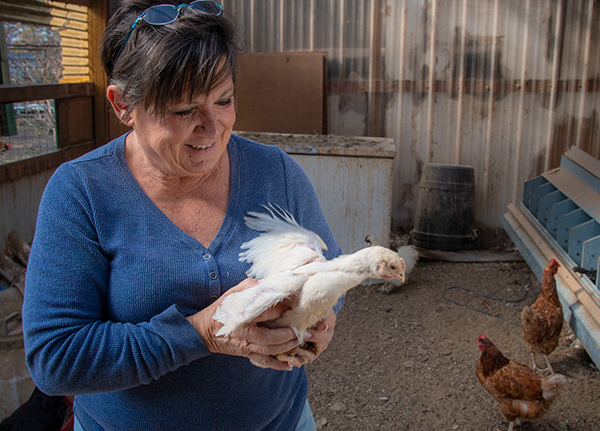 Woman holds chicken