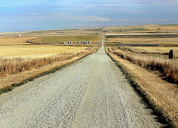 Dirt road through a field