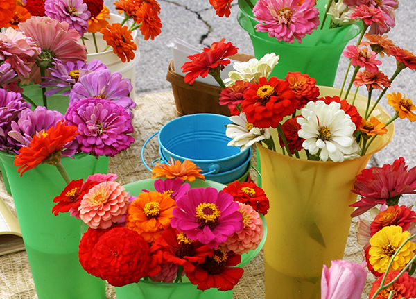 Colorful flowers in buckets