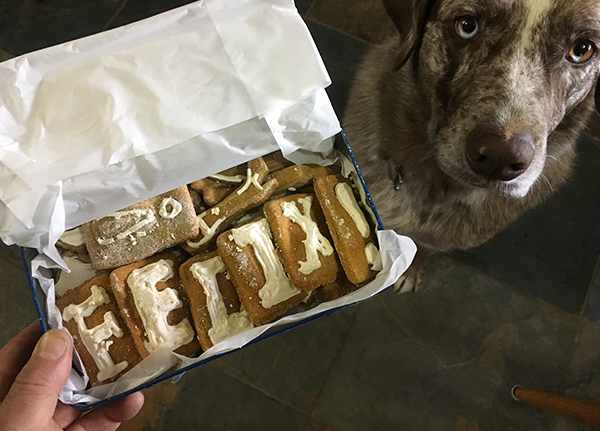 Dog treats that spell out 'Felix'