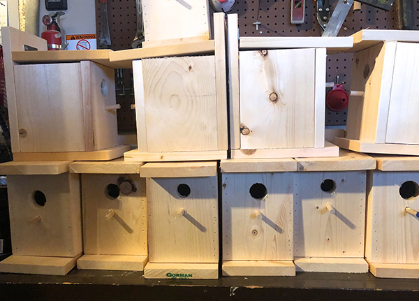 Ten birdhouses gathered together in wood shop