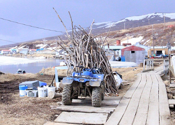 Large bundle of collected sticks in rural Alaska village