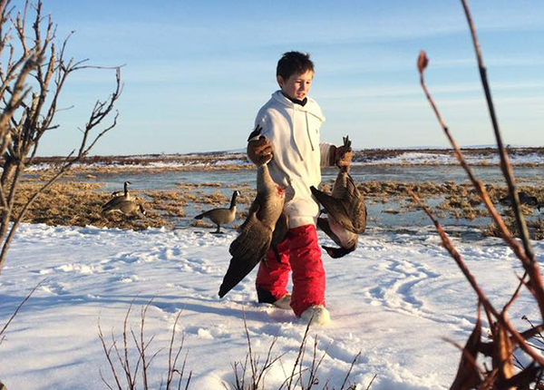 Young boy carries two geese