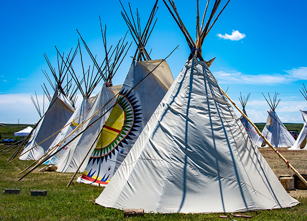 Rows of teepees in a field