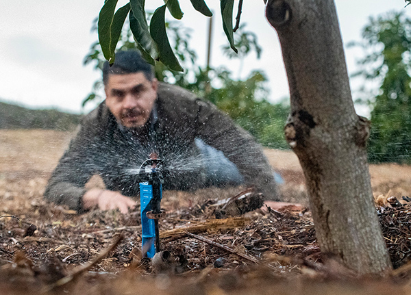 Man fixing sprinkler