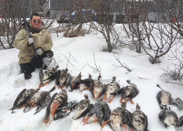 Person poses with a rifle next to hunted geese