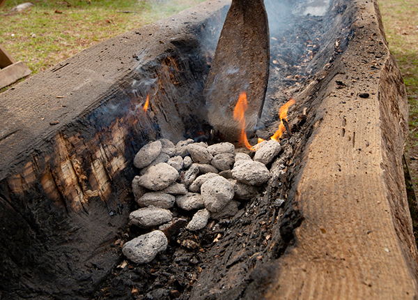 Canoe being made by burning out the center of a tree trunk